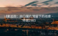谜案追踪：向日葵视频留下的线索 · 特辑1983