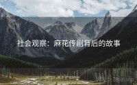 社会观察：麻花传剧背后的故事