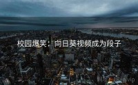 校园爆笑：向日葵视频成为段子