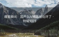 爆笑瞬间：国产SUV精品被玩坏了 · 特辑9319