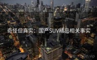 奇怪但真实：国产SUV精品相关事实