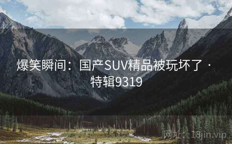 爆笑瞬间：国产SUV精品被玩坏了 · 特辑9319