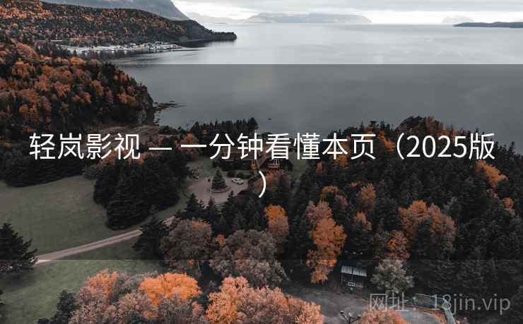 轻岚影视 — 一分钟看懂本页（2025版）