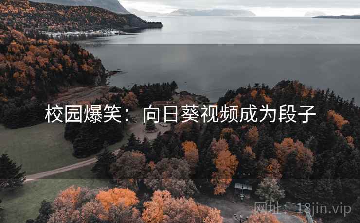 校园爆笑：向日葵视频成为段子
